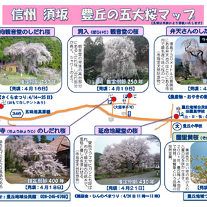 豊丘の五大桜マップ